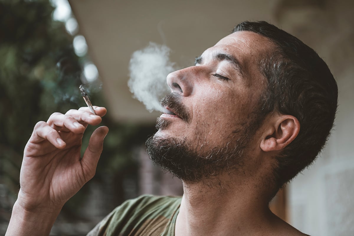 Man smoking different indica strain of Marijuana